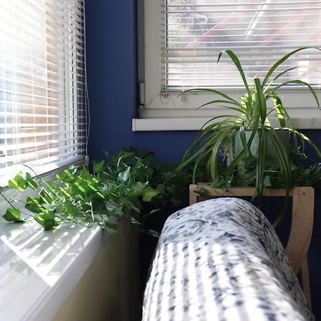 Center Apartment Dunja 수보티차 외부 사진