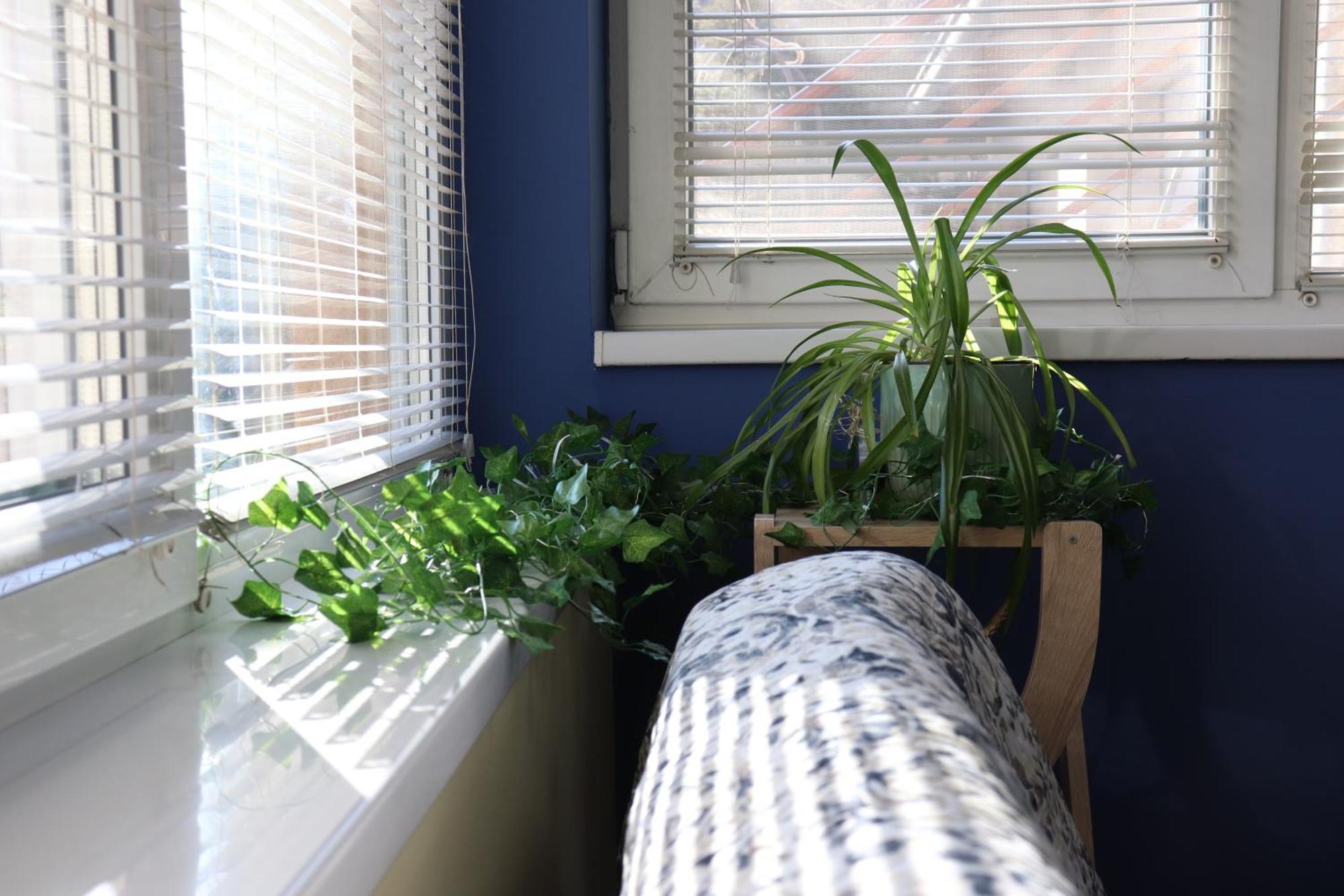 Center Apartment Dunja 수보티차 외부 사진