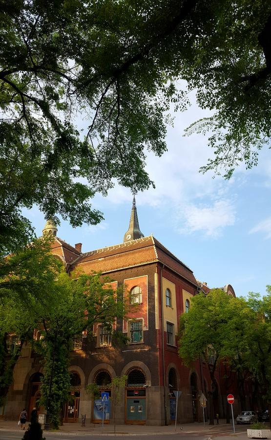 Center Apartment Dunja 수보티차 외부 사진